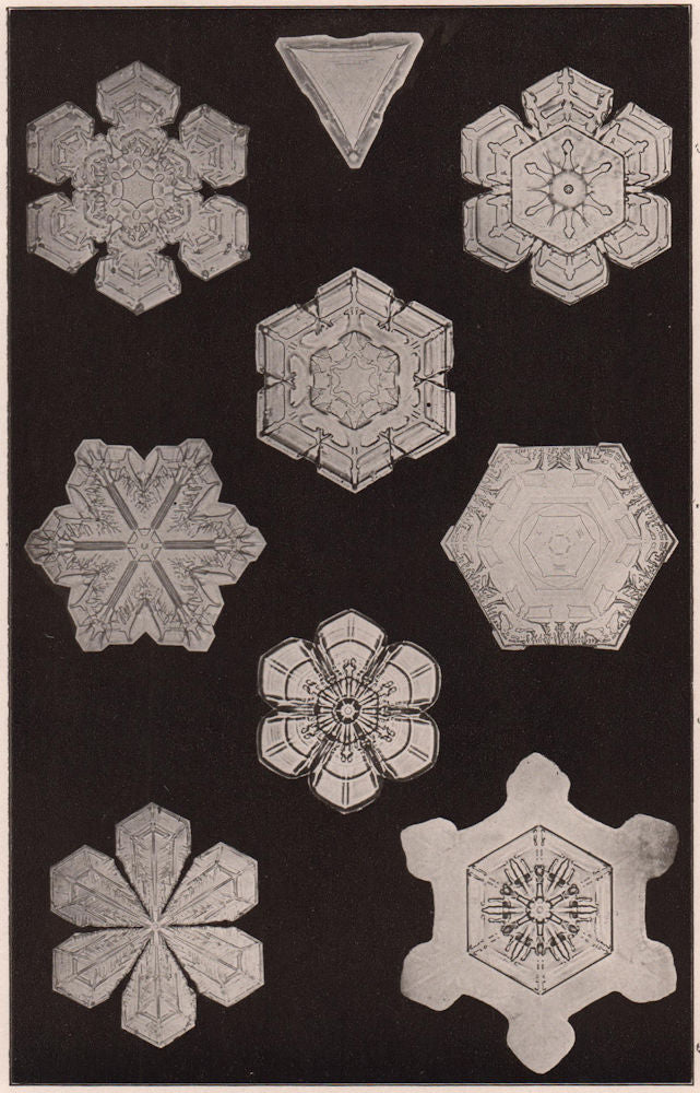 Forms of Snow Crystals (1). Science 1904 old antique vintage print picture